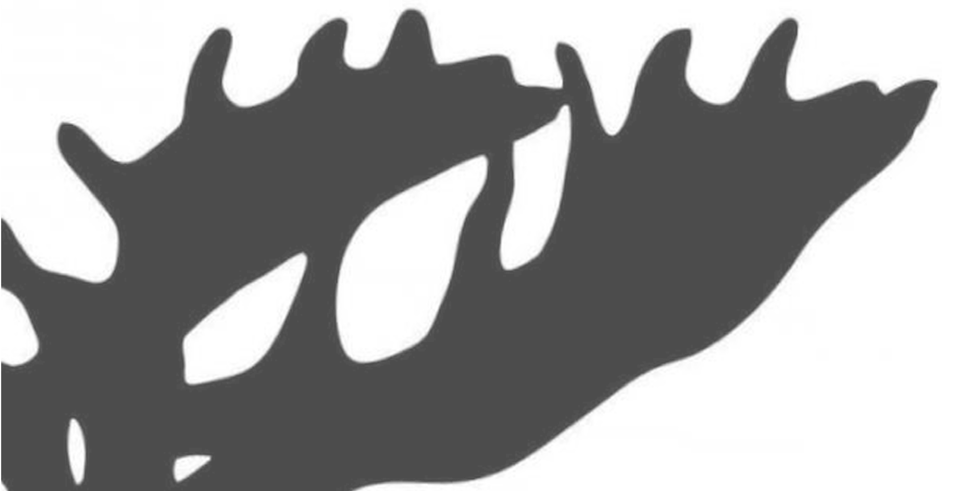 Shop.Sprengschule-Berlin Startseite 